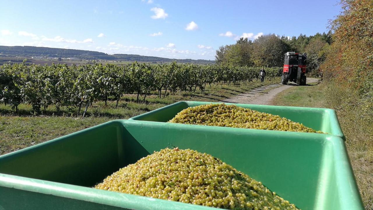 Kulsheim Winzerhof Spengler旅馆 外观 照片